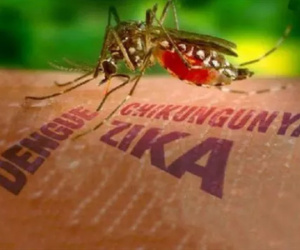 Bất ngờ phát hiện nam thanh niên ở Đà Nẵng mắc virus Zika