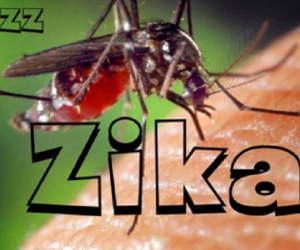 Phát hiện 1 nam thanh niên ở Đà Nẵng mắc virus Zika: Bệnh Zika nguy hiểm ra sao và lây qua những con đường nào?