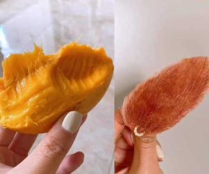 Làm kẹp tóc từ... hột xoài tặng bạn thân: Nghe tiết kiệm nhưng dân tinh ý liền chỉ ra một chi tiết khiến chủ nhân ý tưởng lỗ nặng