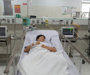 Tất cả học sinh bị thương trong vụ cây bật gốc đã qua cơn nguy kịch