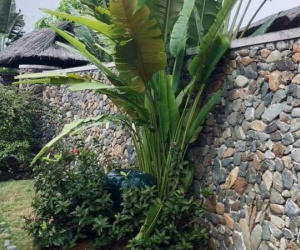 Vợ cao tay trị ngoại tình, chồng ở xứ người vội vàng về nước