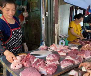 Giá thịt lợn lên 200 nghìn đồng/kg, cao chưa từng có