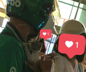 Phát cuồng với hình ảnh siêu dễ thương của nam thanh niên ôm mèo lang thang, ngơ ngác đi tìm chủ mới cho nó khắp phố