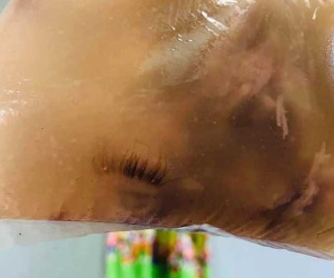 Gọi đồ ăn bên ngoài, cô gái tá hỏa khi thấy một 'bờ mi cong vút' trong chiếc túi đựng đồ ăn, gắp vội ra ngoài xem xong ai cũng muốn bỏ ăn