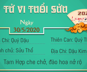 Tử vi thứ 7 ngày 30/05/2020 của 12 con giáp: Hợi hao tài, Ngọ tài lộc khởi sắc