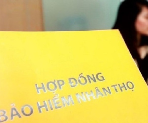 Những điều nhân viên bảo hiểm không nói với bạn