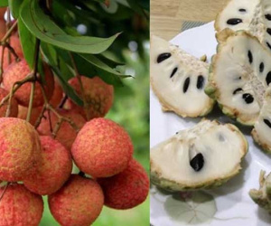 7 loại quả là 'đặc sản' của mùa hè và những lưu ý cực quan trọng khi ăn