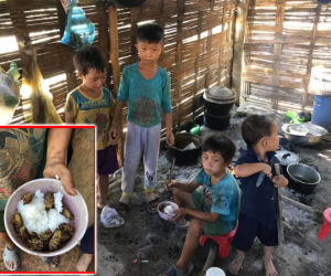 Xót xa bữa cơm của những đứa trẻ vùng cao Đắk Lắk: Chỉ có cơm nguội trộn với ve sầu