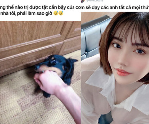 Diễn viên JAV nóng bỏng đăng bài thả thính, dân mạng tranh thủ ùa vào đòi... chỉ đường và tư vấn nghề nghiệp