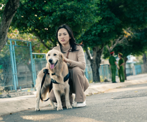 Vắng mặt bom tấn Hollywood cạnh tranh suất chiếu, phim Việt ở rạp đang có nhiều cơ hội