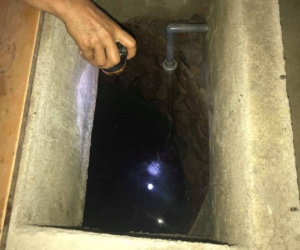 Đầu độc cả gia đình người tình vì bị phản đối