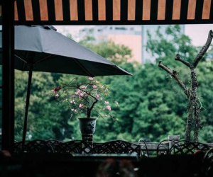 Bán nhà tiền tỷ cho con, cuối đời mẹ mất trong ân hận