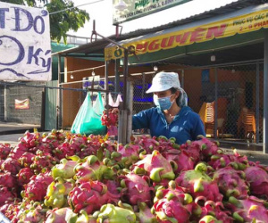 Còn 15.000 đồng/2kg, thanh long lại đổ đống, bán đầy đường TP HCM