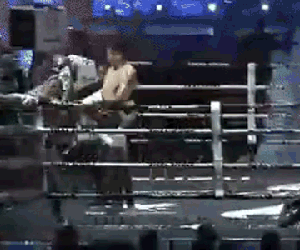 Võ sĩ Thái Lan 'gây bão' khi đánh cùi chỏ vào sống lưng để 'kết liễu' đối thủ