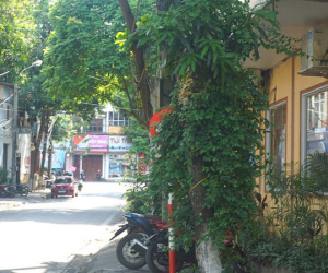 Loạt biển báo giao thông mới gây khó hiểu ở thành phố Lào Cai