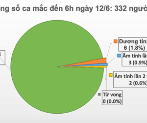 Việt Nam chỉ còn 6 ca dương tính với virus SARS-CoV-2