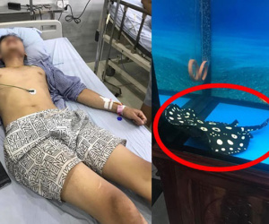 Vì một lần thay bể cá cảnh mà người đàn ông phải nhập viện cấp cứu: 1 sơ suất ai cũng nên chú ý