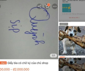 Muốn kinh doanh online nhưng không có gì để bán, chủ shop nghĩ ra ý tưởng 'có 1-0-2': Bán giấy bìa chó gặm, sản phẩm có chữ ký của chính chủ