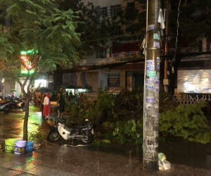 Cây xanh đường Tô Hiến Thành, TP.HCM tét nhánh trong mưa đè chết người