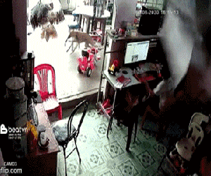 Clip: Bồn nước 'từ trên trời rơi xuống' suýt đè trúng đầu một bé trai đang ngồi lướt web khiến nhiều người rùng mình