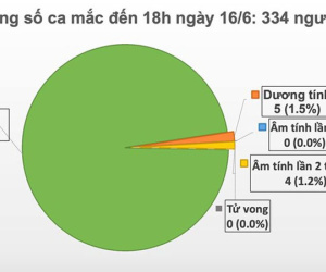 Thêm 2 bệnh nhân được công bố khỏi bệnh, Việt Nam còn 9 bệnh nhân Covid-19 đang tiếp tục điều trị