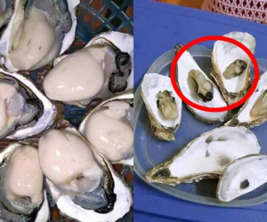 Lên mạng đăng bài 'bóc phốt' bà bán hàu 'không có tâm', cô gái trẻ nhận ngay về 'rổ gạch đá' vì sự thiếu hiểu biết này