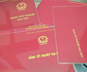 Cách chức chủ tịch phường có bằng đại học… trước bằng cấp 3