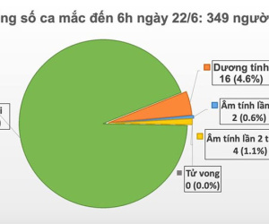 67 ngày không lây nhiễm trong cộng đồng, Việt Nam còn 16 ca dương tính với virus SARS-CoV-2