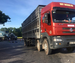 Va chạm với xe tải, 2 người tử vong tại chỗ