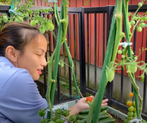 Vừa bị người xem phàn nàn về các thay đổi lạ trong vlog, Quỳnh Trần JP lập tức có động thái hồi đáp khiến dân tình bất ngờ
