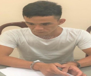 Gây thêm 20 vụ trộm trong thời gian trốn truy nã