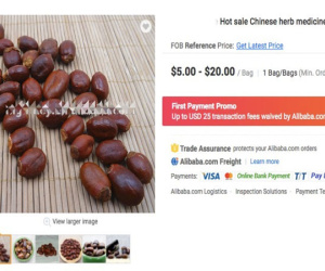 Hạt vải thiều ăn xong vứt đi, nay rao bán 1 triệu đồng/kg