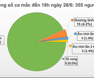 Việt Nam còn 15 ca dương tính với virus SARS-CoV-2