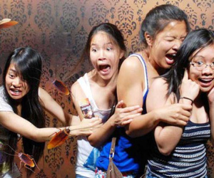Vì sao con gián lại gây cảm giác đáng sợ, kinh tởm?