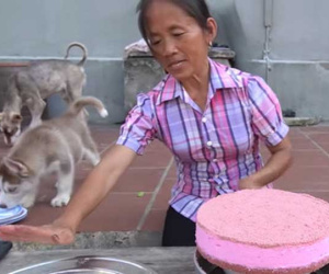 Bà Tân làm bánh oreo cheesecake hoa anh đào siêu đẹp mắt nhưng nhìn chiếc đĩa bị chó liếm thì...