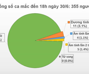 Việt Nam còn 11 ca dương tính với virus SARS-CoV-2