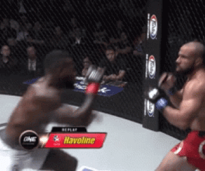 Clip: Cận cảnh cú đá dũng mãnh hạ knock-out đối thủ của võ sĩ MMA