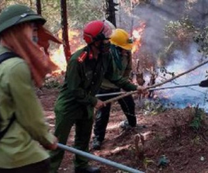 Nghi có yếu tố phá hoại khiến cháy rừng liên tiếp ở Nghệ An, triệu tập một số đối tượng