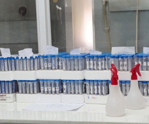 TPHCM phát hiện một người nước ngoài dương tính nhẹ với Covid-19