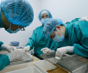 Vắc xin Covid-19 'made in Việt Nam' sắp thử nghiệm trên người có gì đặc biệt?