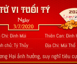 Tử vi thứ 6 ngày 03/07/2020 của 12 con giáp: Dậu làm ăn khấm khá, Sửu dễ xảy ra sai sót