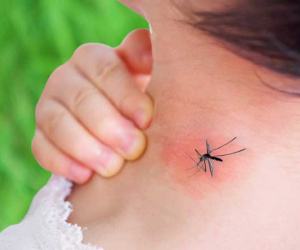 Ca sốt xuất huyết tại Hà Nội tăng mạnh: Bộ Y tế đưa ra những khuyến cáo phòng ngừa bệnh ở ngay tại nhà