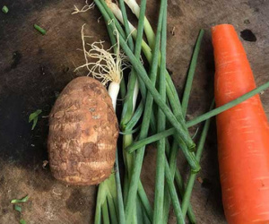 Nhờ chồng đi chợ và cái kết dở khóc dở cười, nhìn đồ mua về mà ai cũng phải ngao ngán: 'Thế này thì để cho ai ăn?'