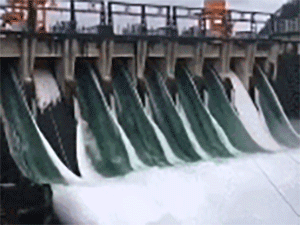 Lần đầu tiên trong lịch sử, đập thủy điện TQ mở toàn bộ cửa xả, khiến cá bay đầy trời