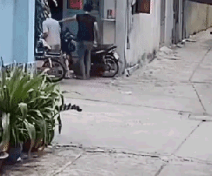 Nam thanh niên xô đẩy, đánh đập cha mẹ ngã dúi dụi trước cửa nhà khiến nhiều người phẫn nộ