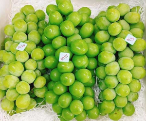 Nho sữa Hàn Quốc 1,2 triệu/kg, mỗi tuần nhập 3 tấn không đủ bán