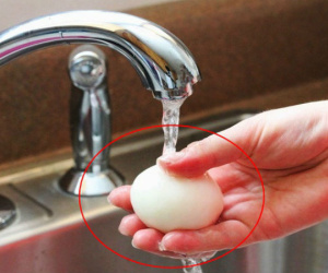 Tủ lạnh là vật dụng 'bẩn' số 1 trong nhà bếp: Có 3 thứ thà bỏ đi chứ đừng dại bảo quản kẻo gieo rắc ổ bệnh nguy hiểm