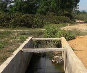 Vụ nữ sinh lớp 11 tử vong dưới mương nước sau lễ tổng kết năm học: Những dấu hiệu bất thường