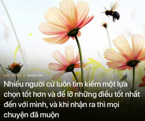 Nhậu say tới bến, hôm sau chồng sững sờ trước phản ứng chưa từng có của vợ