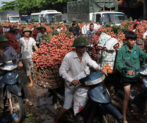 Một vụ thu 7.000 tỷ, ôm tiền gửi ngân hàng, mua đất, tậu ô tô